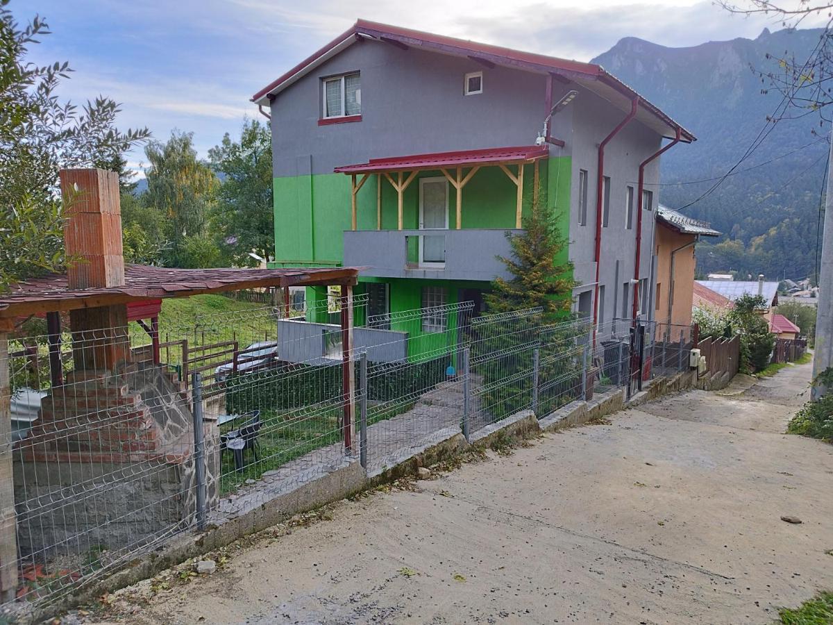 Vila Cri Cri Buşteni Exterior foto