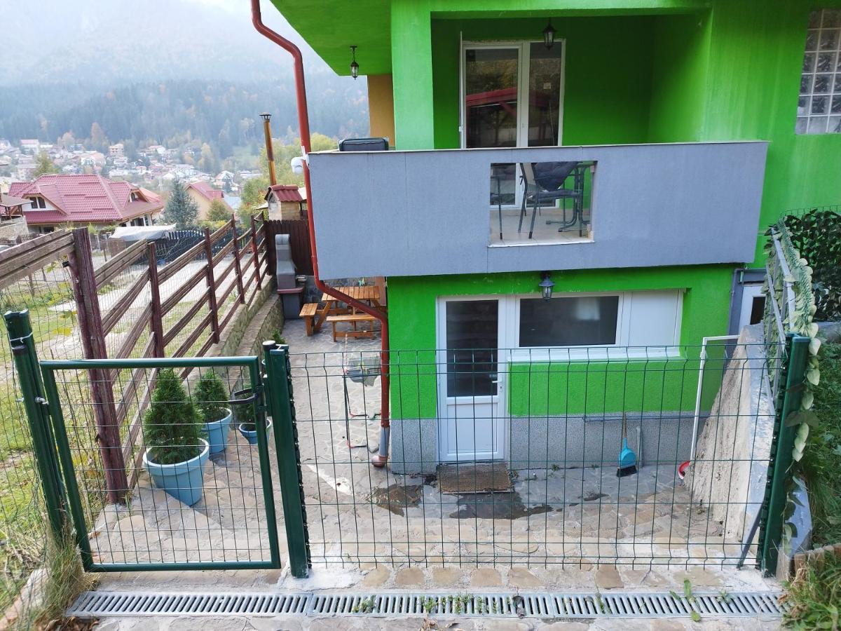 Vila Cri Cri Buşteni Exterior foto
